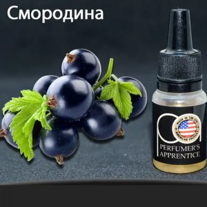 TPA (TFA) - Black Currant (Чёрная Смородина) 10мл